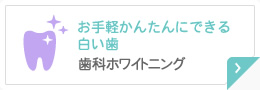 お手軽かんたんにできる白い歯 歯科ホワイトニング